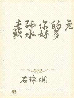 老师你的兔子好软水好多封面