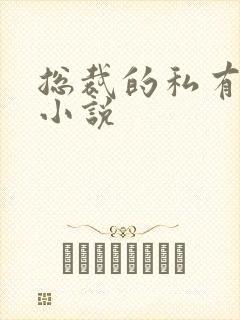 总裁的私有宝贝小说封面