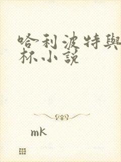 哈利波特与火焰杯小说