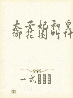 太子妃和皇帝在御花园叫什么小说