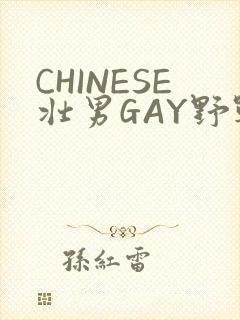 CHINESE壮男GAY野战强迫TUBE