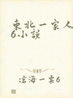 东北一家人1一6小说