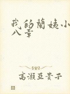 我的兰姨小说第八章封面