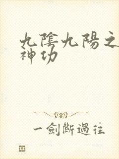 九阴九阳之阴阳神功