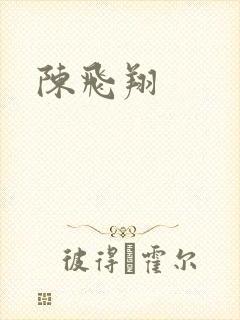 陈飞翔封面