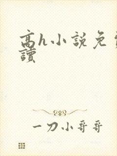 高h小说免费阅读