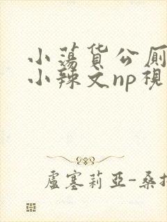 小荡货公厕h文小辣文np视频