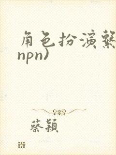 角色扮演系统(npn)