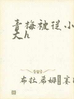 青梅被从小摸到大h