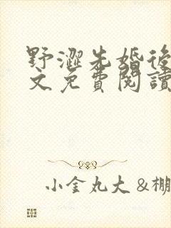 野涩先婚后爱全文免费阅读笔趣阁