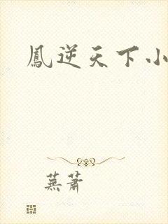 凤逆天下小说封面