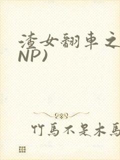 渣女翻车之后(NP)
