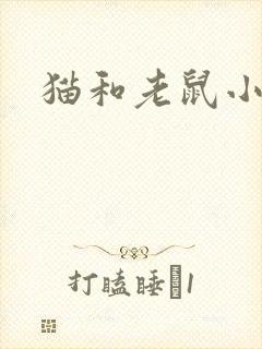 猫和老鼠小说