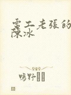 电工老张的春天陈冰封面