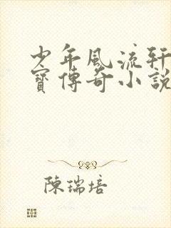少年风流轩辕大宝传奇小说封面