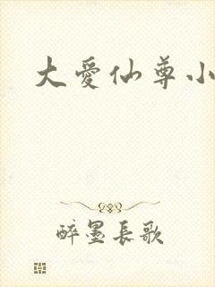 大爱仙尊小说封面