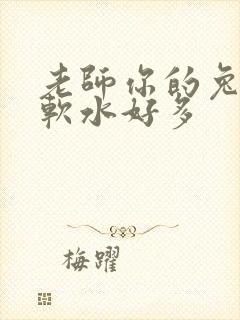 老师你的兔子好软水好多