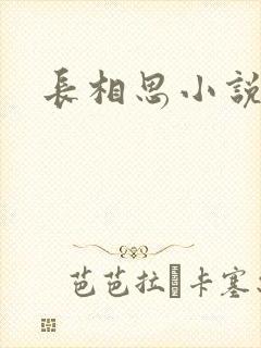 长相思小说原著