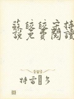 苏皎皎宋持的小说免费阅读