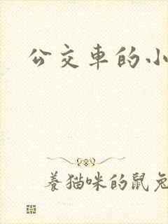 公交车的小说