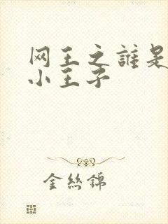网王之谁是我的小王子