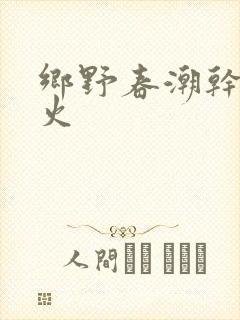 乡野春潮干柴烈火封面