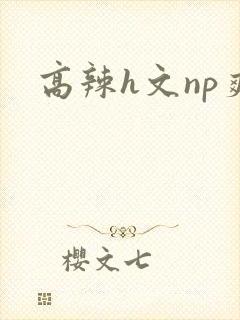 高辣h文np爽