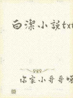 白洁小说txt