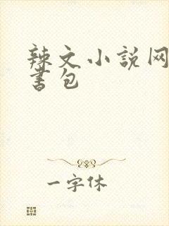 辣文小说网第二书包