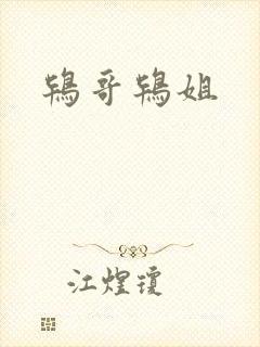 鸨哥鸨姐封面