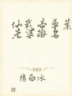 仙武帝尊叶辰的老婆排名