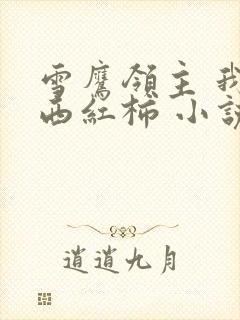 雪鹰领主 我吃西红柿 小说