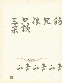 三只狼兄的宠妻宋钦