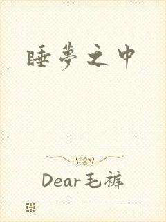 睡梦之中封面