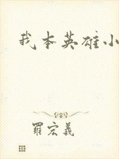 我本英雄小说