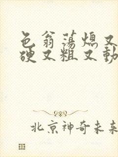 色翁荡熄又大又硬又粗又动态图