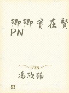 卿卿实在贤良NPN