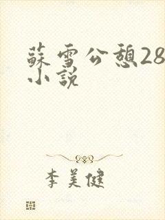 苏雪公憩28篇小说