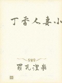 丁香人妻小说封面