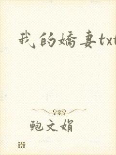 我的娇妻txt封面