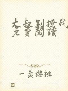 大叔别撩我小说免费阅读