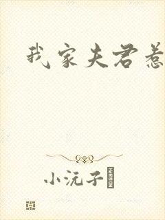 我家夫君惹不起