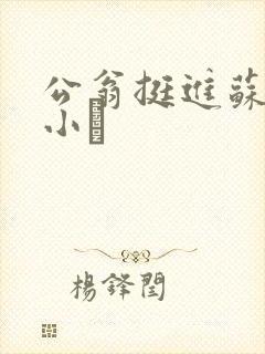 公翁挺进苏玥的小泬
