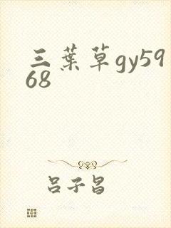 三叶草gy5968封面