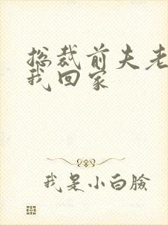 总裁前夫老婆跟我回家封面