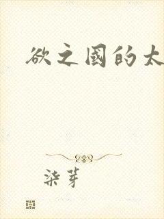 欲之国的太子封面