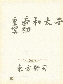 皇帝和太子妃h云初