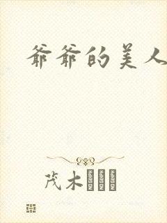 爷爷的美人封面