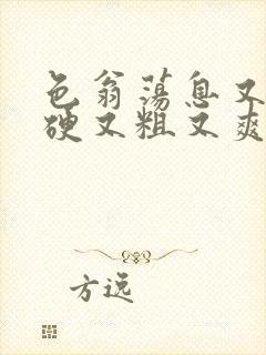 色翁荡息又大又硬又粗又爽