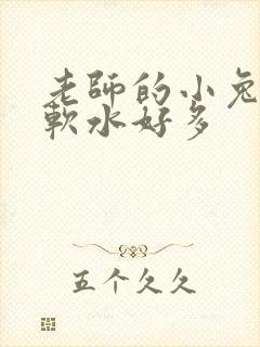 老师的小兔子好软水好多